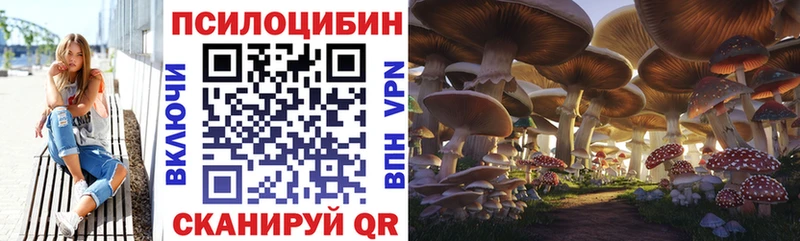 цены наркотик  Белозерск  Псилоцибиновые грибы мицелий 