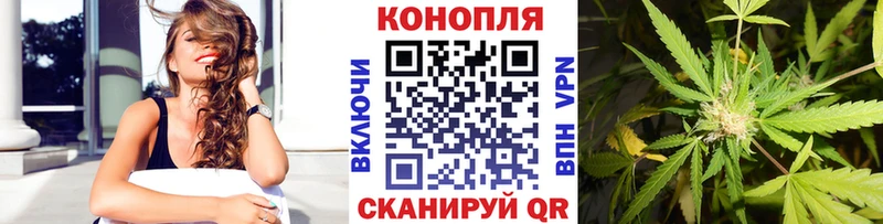 omg маркетплейс цены Белозерск Бошки марихуана индика